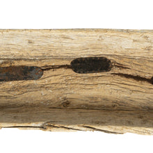 Cargar imagen en el visor de la Galería, Batea de madera de mezquite circa 1890.

