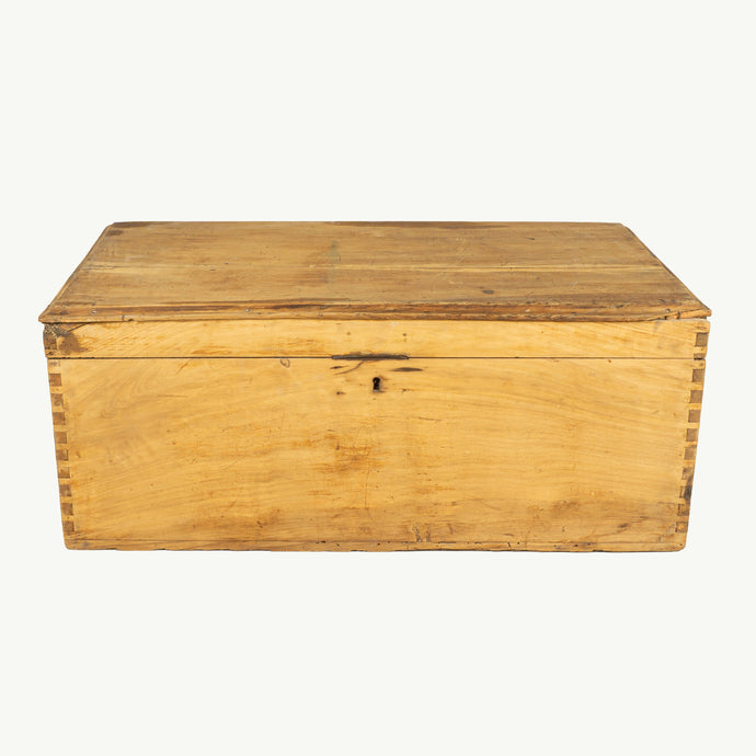 Baúl de madera de sabino encontrado en Oaxaca / Sur de México, finales del siglo XIX.